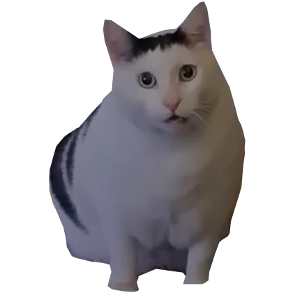 HuhCat