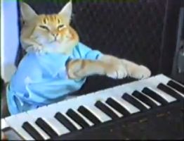 KeyboardCat