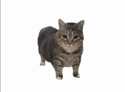 UiaCat